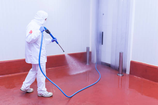 Best Commercial Pressure Washing in Brogden, NC